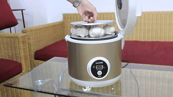 Giải đáp thắc mắc nên mua nồi ủ tỏi đen của thương hiệu nào tốt nhất hiện nay trên thị trường