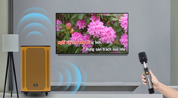 Tư vấn chọn mua loa kéo nào tốt nhất 2020