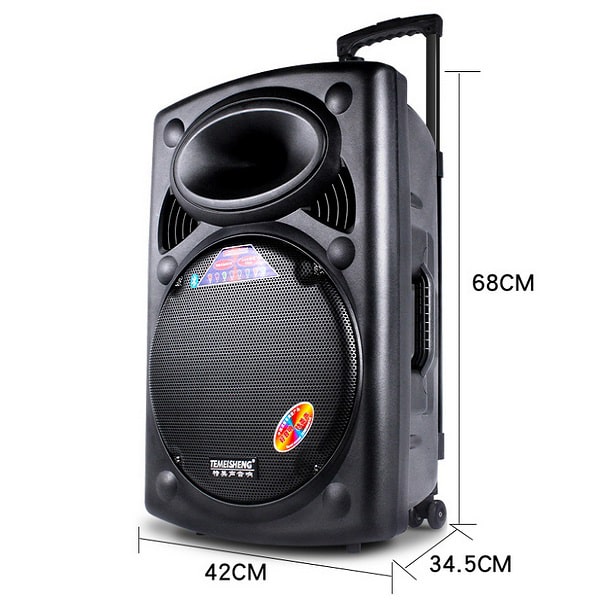 Loa kéo di động karaoke Temeisheng LA015/Model A108