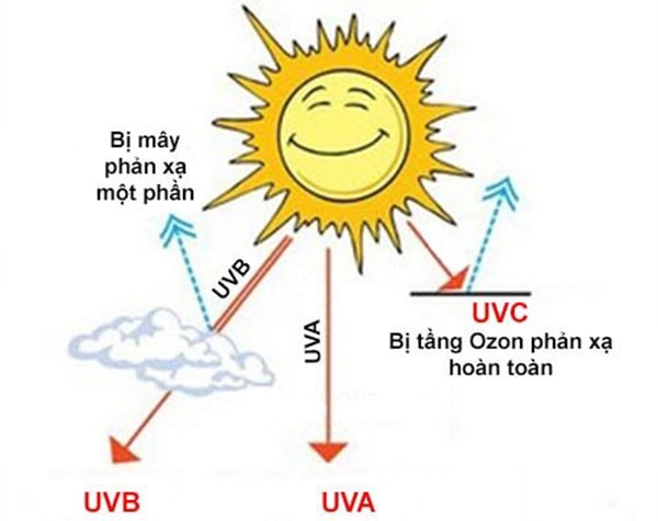 Kem chống nắng quan trọng như thế nào?
