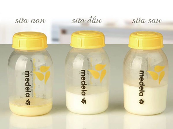 Sữa non là gì ?