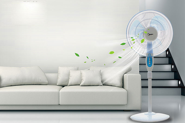 Trên thị trường có nhiều thương hiệu sản xuất quạt cây uy tín
