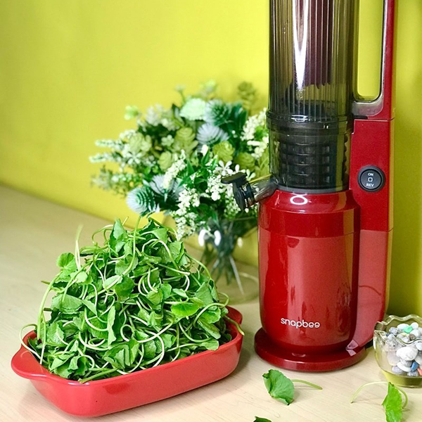 Nên sử dụng máy ép chậm để ép lá rau má
