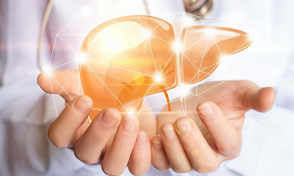 Sử dụng bột gạo giúp thúc đẩy chức năng gan khỏe mạnh hơn